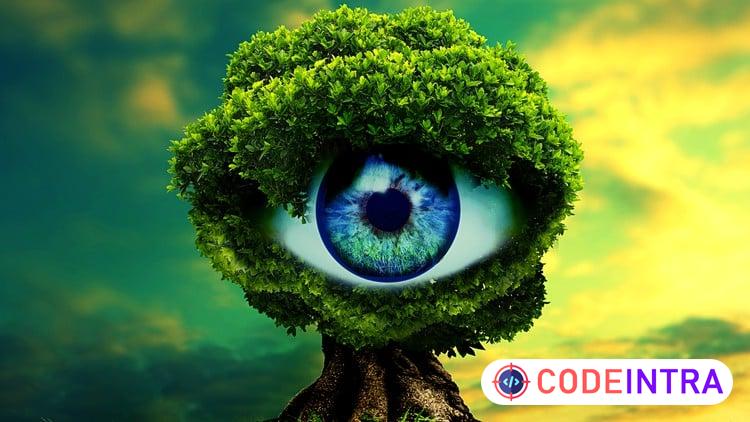 Healthy Eyes (Eye Yoga: The must for all of us)