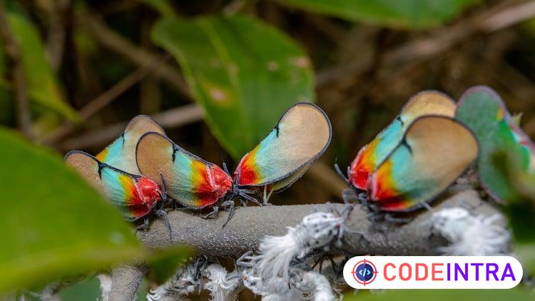 How to Transform Your Life - practical ways - Codeintra