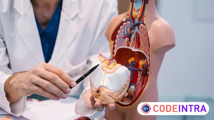 Human Physiology for Medical Coding, Billing & Healthcare