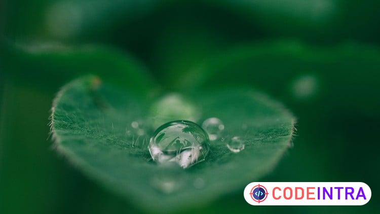 Mindfulness and Meditation Certification Training Course