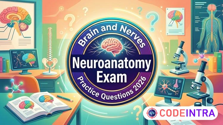 Neuroanatomy Practice Test 2026, The Brain and Nerves