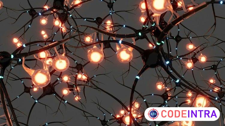 NLP Certification: Transform Mindset, Habits and Influence