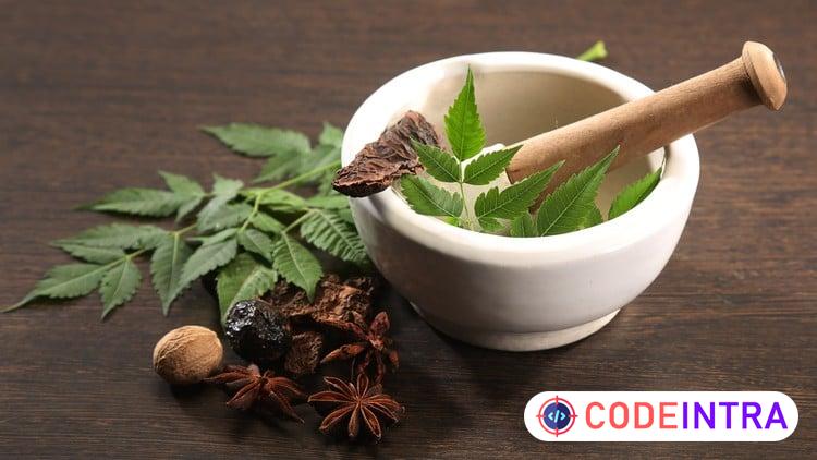 Advanced Certification in Ayurveda: Master Core Principles