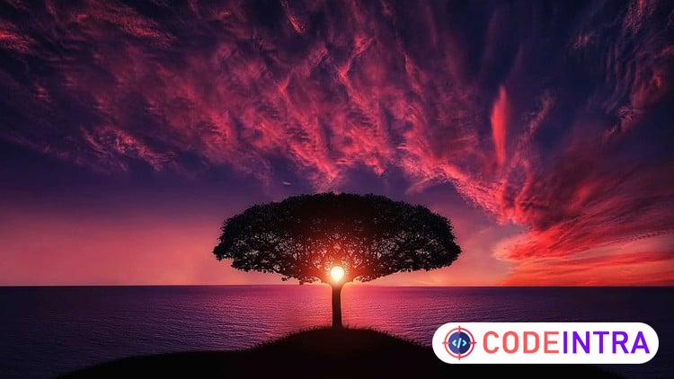 Complete Photography Masterclass: 4 Courses IN 1