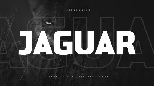 Jaguar - Sports Futuristic Tech Font