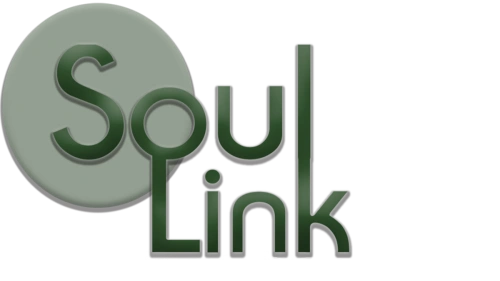 SoulLink Spawner | Behavior AI | Unity Assets